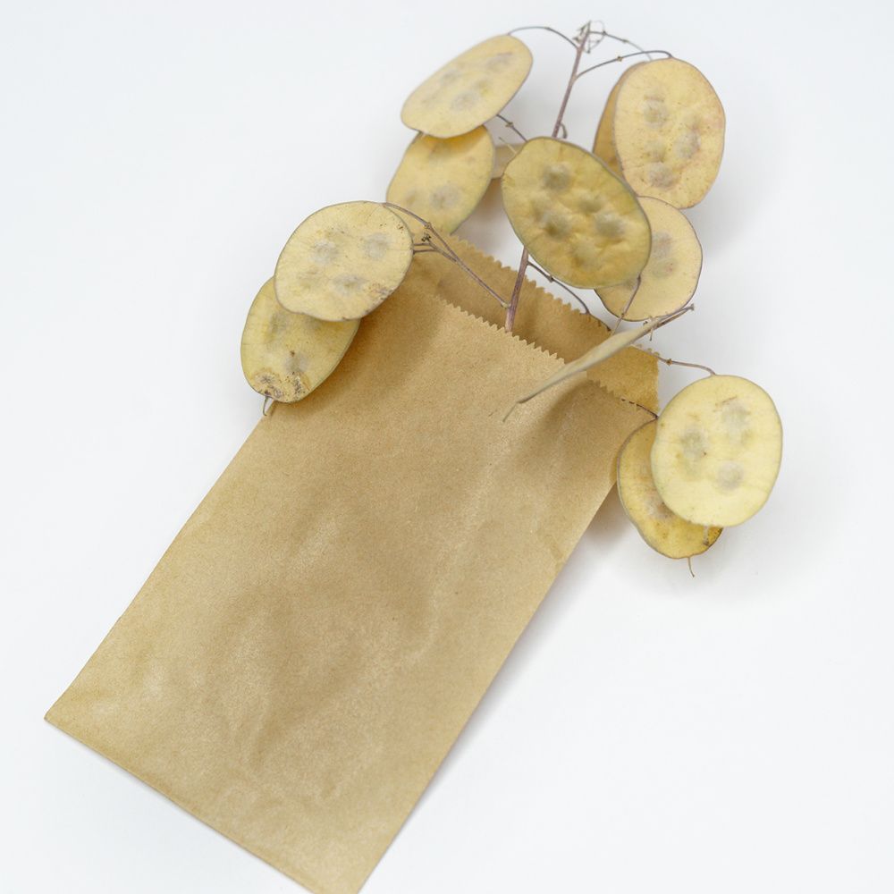 пакет крафт, бумага, цвет бежевый, 15x8.3 см