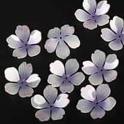 Бусина, акрил "Цветок сливы", цвет белый/сиреневый, 28x28x8-10 мм