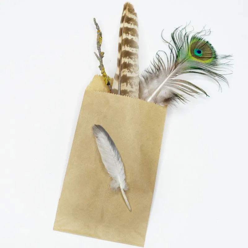 пакет крафт, бумага, цвет бежевый, 15x8.3 см