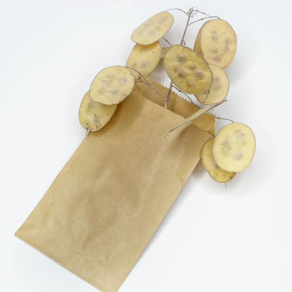 пакет крафт, бумага, цвет бежевый, 15x8.3 см