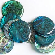 Кабошон из ракушки Пауа, круглый, цвет бирюзовый колорир., 25-25.5x1.5 мм