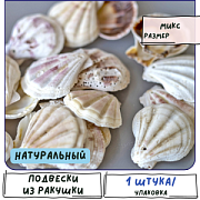 Подвеска из ракушки "Шелли", натуральный цветовой микс, 39-45x37-42x6-7 мм